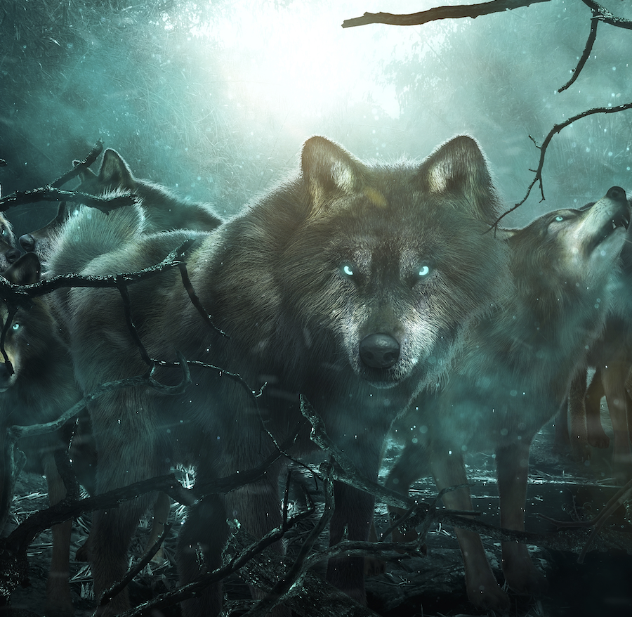 Lead the pack