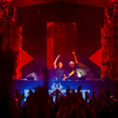SYNDICATE 2019