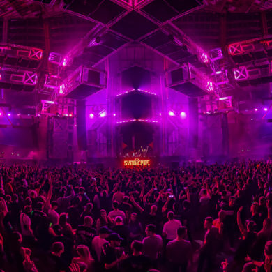 SYNDICATE 2019