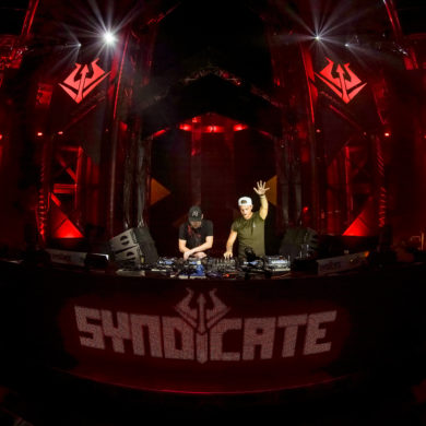 SYNDICATE 2019