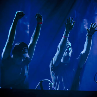 SYNDICATE 2019