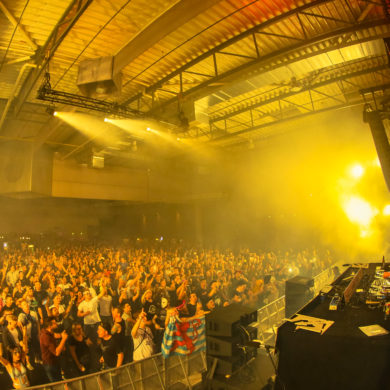 SYNDICATE 2019