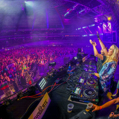 SYNDICATE 2019
