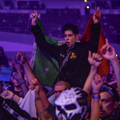 SYNDICATE 2019