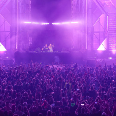 SYNDICATE 2019