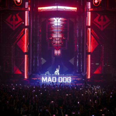 SYNDICATE 2019
