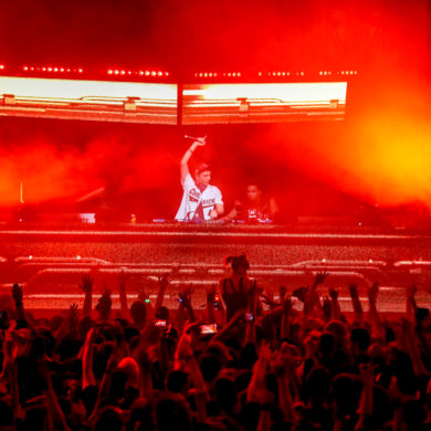 SYNDICATE 2019