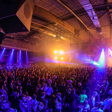 SYNDICATE 2019
