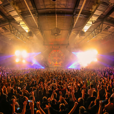 SYNDICATE 2019