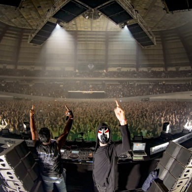 SYNDICATE 2019