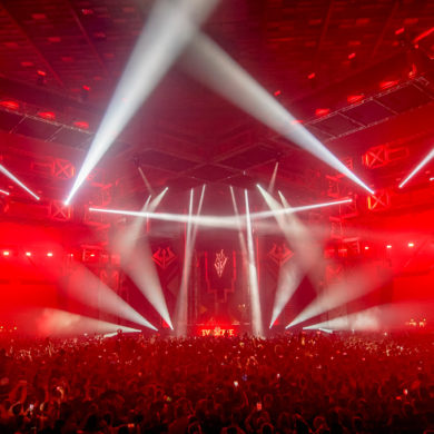 SYNDICATE 2019