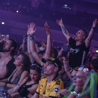 SYNDICATE 2019