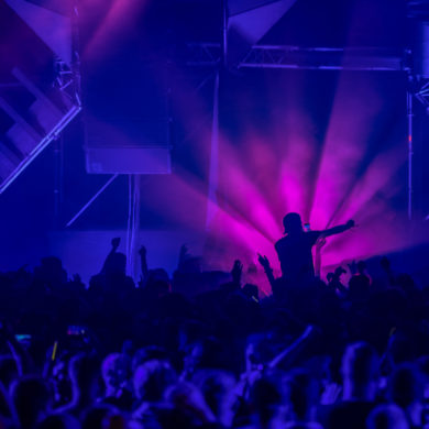 SYNDICATE 2019