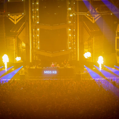 SYNDICATE 2019