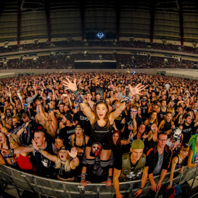 SYNDICATE 2019