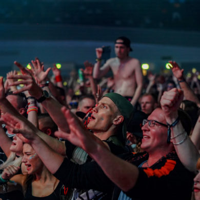 SYNDICATE 2019