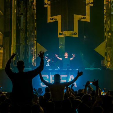 SYNDICATE 2019