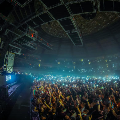 SYNDICATE 2019