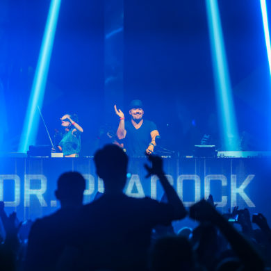 SYNDICATE 2019