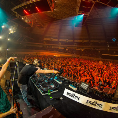 SYNDICATE 2019