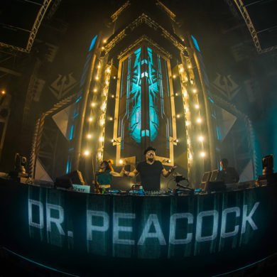 SYNDICATE 2019