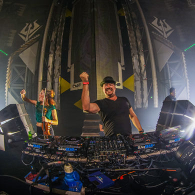 SYNDICATE 2019