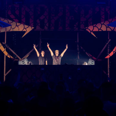 Snakepit | 2019