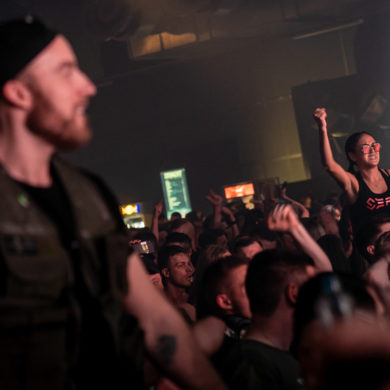 Snakepit | 2019
