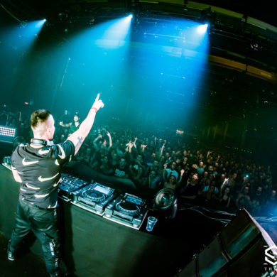 Snakepit | 2019