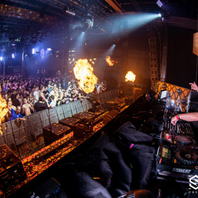 Snakepit | 2019