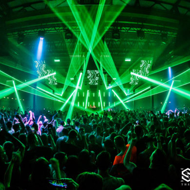 Snakepit | 2019