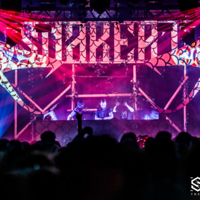 Snakepit | 2019