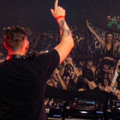 Snakepit | 2019