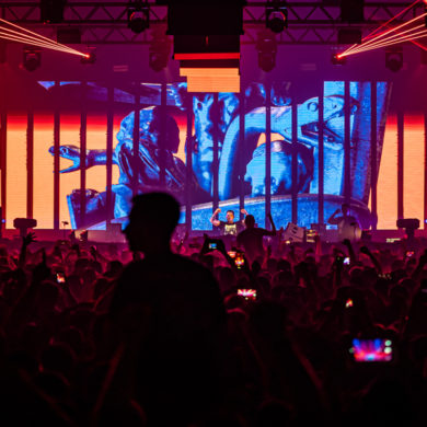 Snakepit | 2019