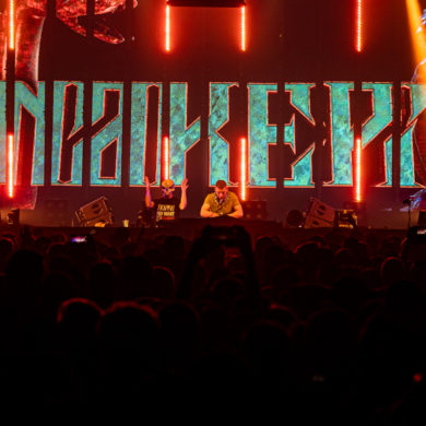 Snakepit | 2019