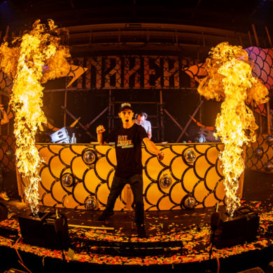 Snakepit | 2019