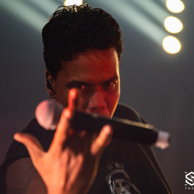 Snakepit | 2019