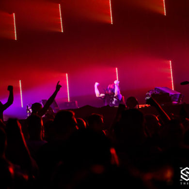 Snakepit | 2019