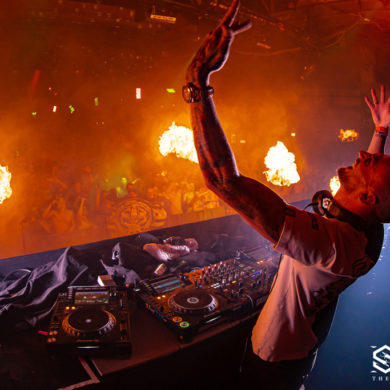 Snakepit | 2019