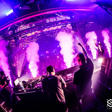Snakepit | 2019