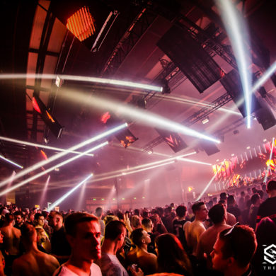 Snakepit | 2019
