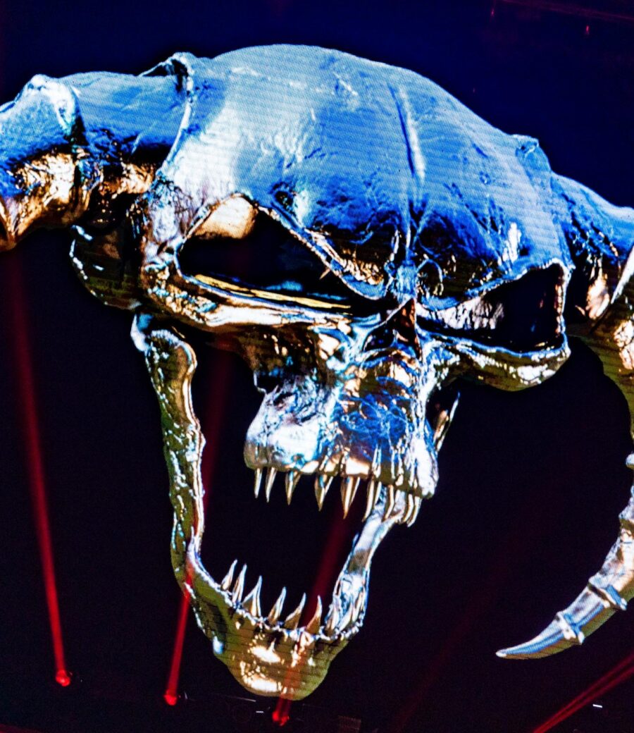 KEL06563-230121-2336-MOHAUSTRIA-LRWM Kelly van der Maade Cropped (1)