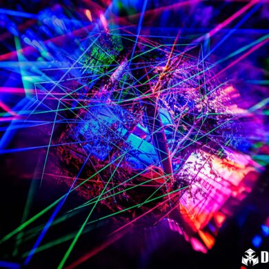 Photo album Dominator 2025 – 20 years of Hardcore Domination