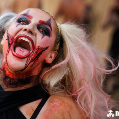 Photo album Dominator 2025 – 20 years of Hardcore Domination