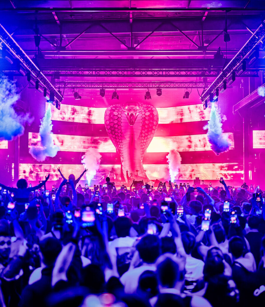 055-SPARK_20251102_030413_SNAKEPIT_DV_1162